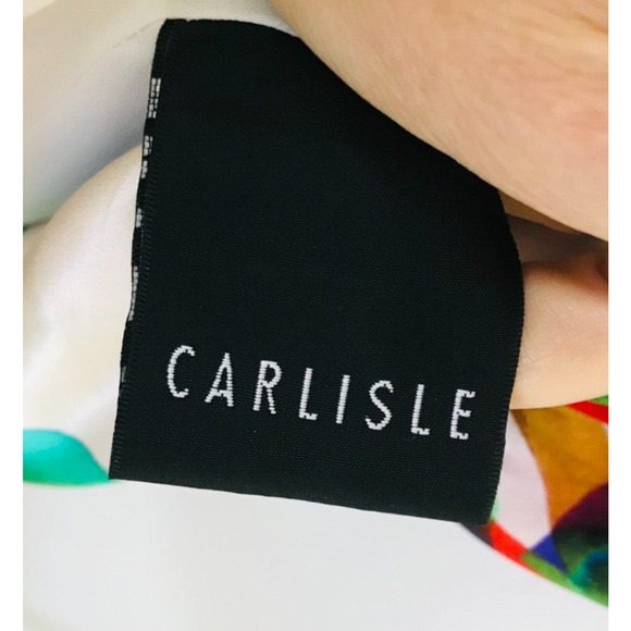 Carlisle Women's Size 6 Silk Dress Colorful Floral Print Lined Zip Cap Sleeve - Picture 6 of 16